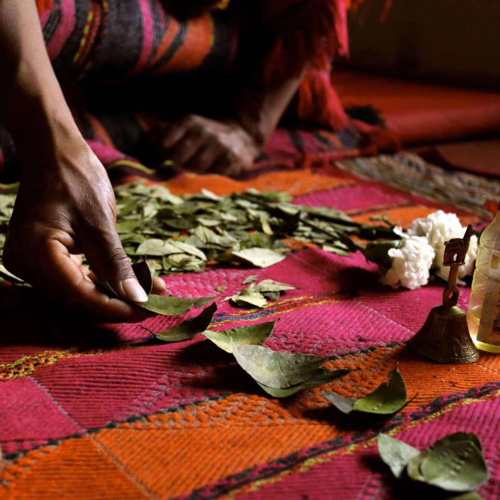 Coca Leaves
